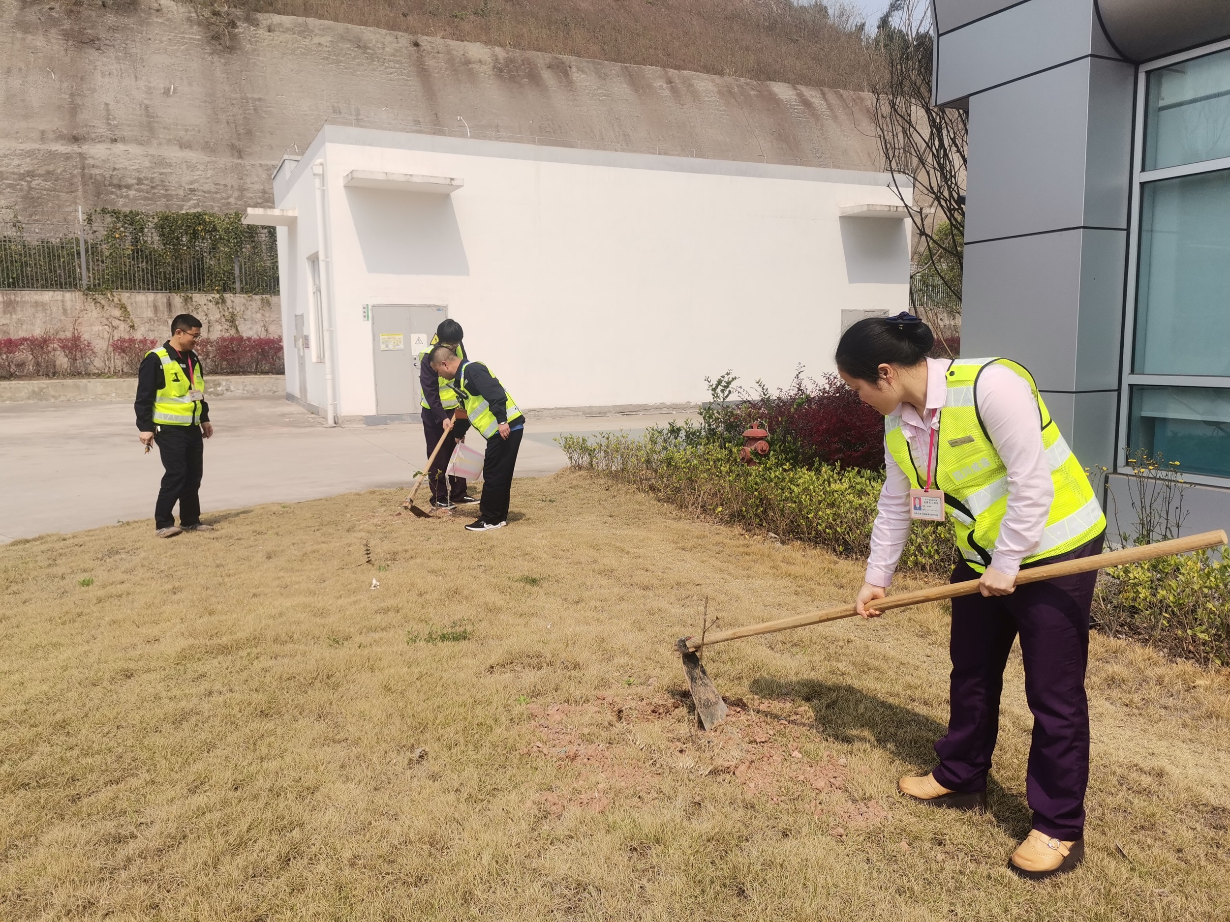 2022.3.16+ballbet分公司+迎春风 植新绿——ballbet高速公路简阳收费站开展植树活动+蒙丽琴